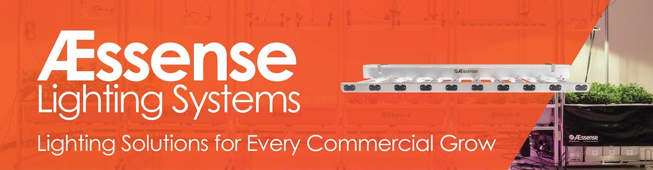 AEssense Lighting Solutions