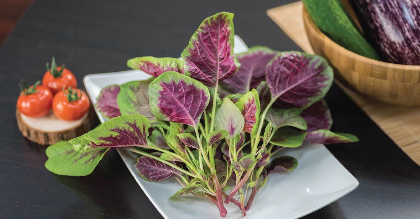 AEssenseGrows Red Ameranth
