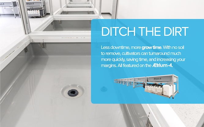 Ditch The Dirt