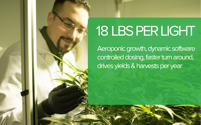 18 LBS per Light Hydroponic Systems & Easier Too!