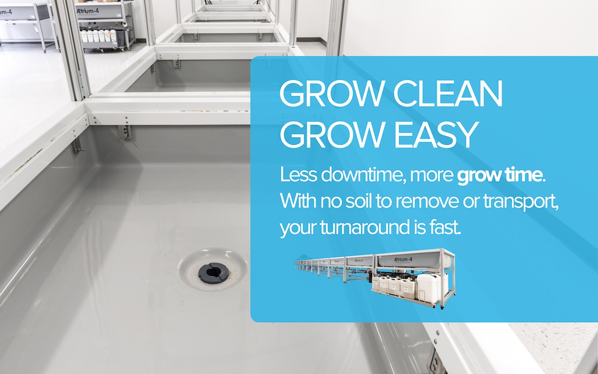 Grow Clean Grow Easy With Hydroponic Systems
