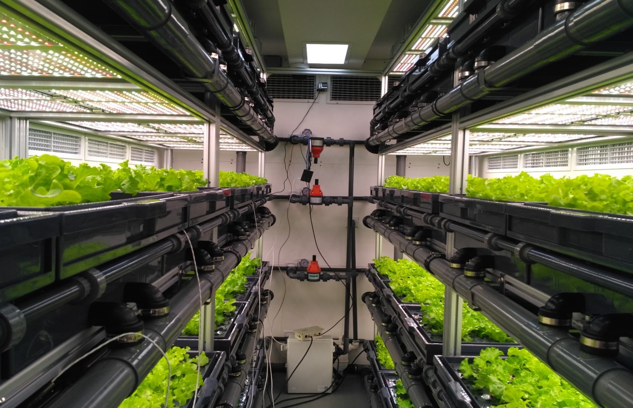AEtrium SmartFarm Container Lettuce
