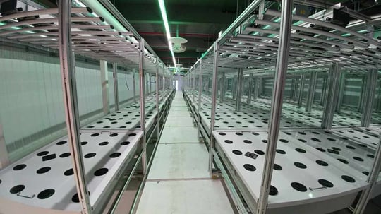 High Volume AEtrium-4 Production Lines with Accordian Rails