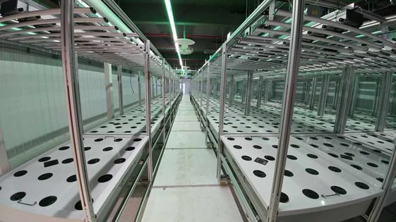 AEtrium-4 Aeroponic Growing System Movable Trays on Rails