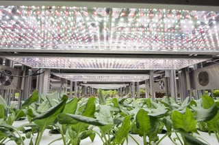 AessenseGrows Fresh AEtrium-2 Vegetable Growth