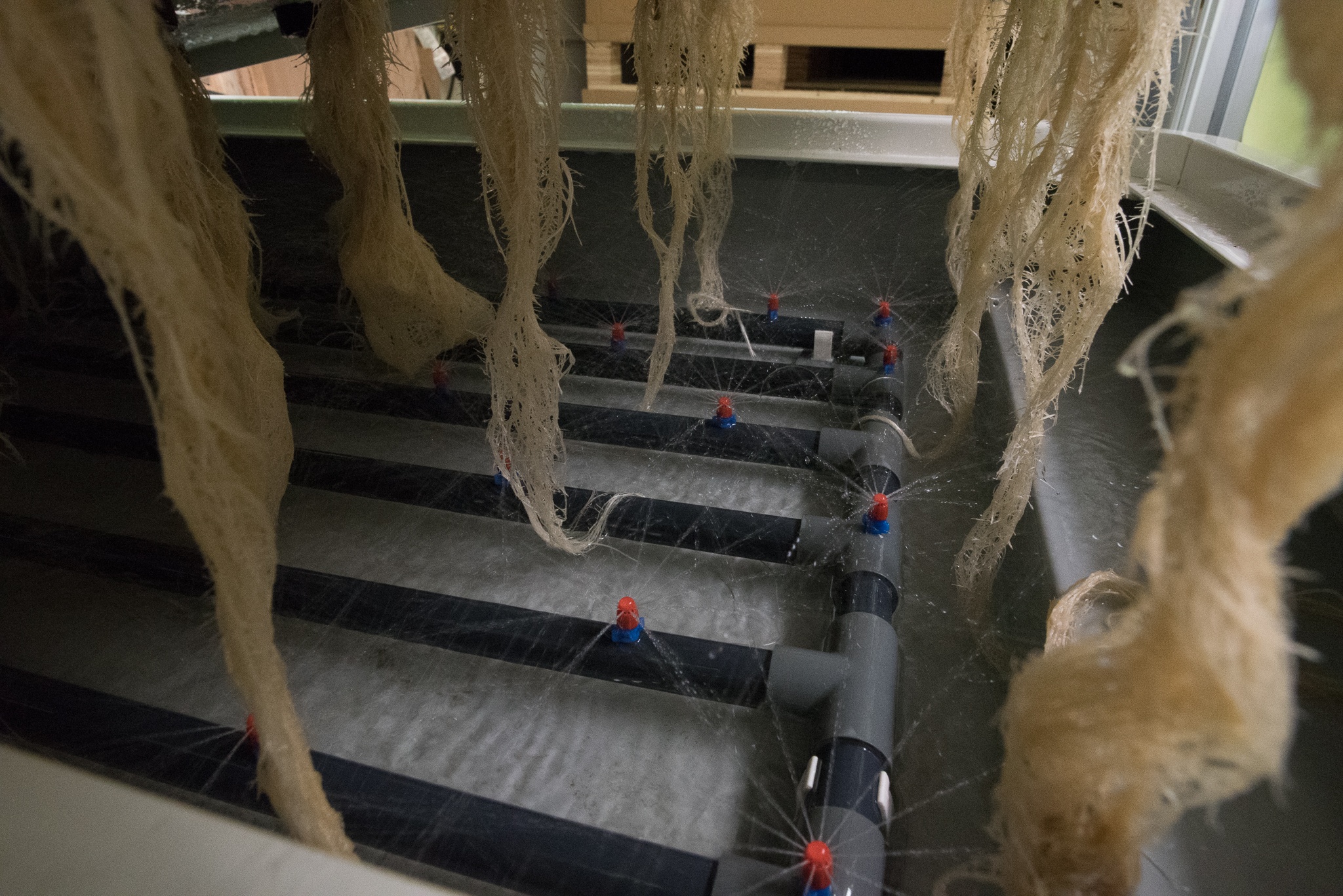 AEtrium-4 Aeroponic Irrigation Spray