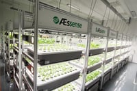 AEtrium Vegetables.jpg