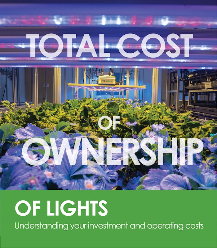 The Total Cost of Lighting Ownership