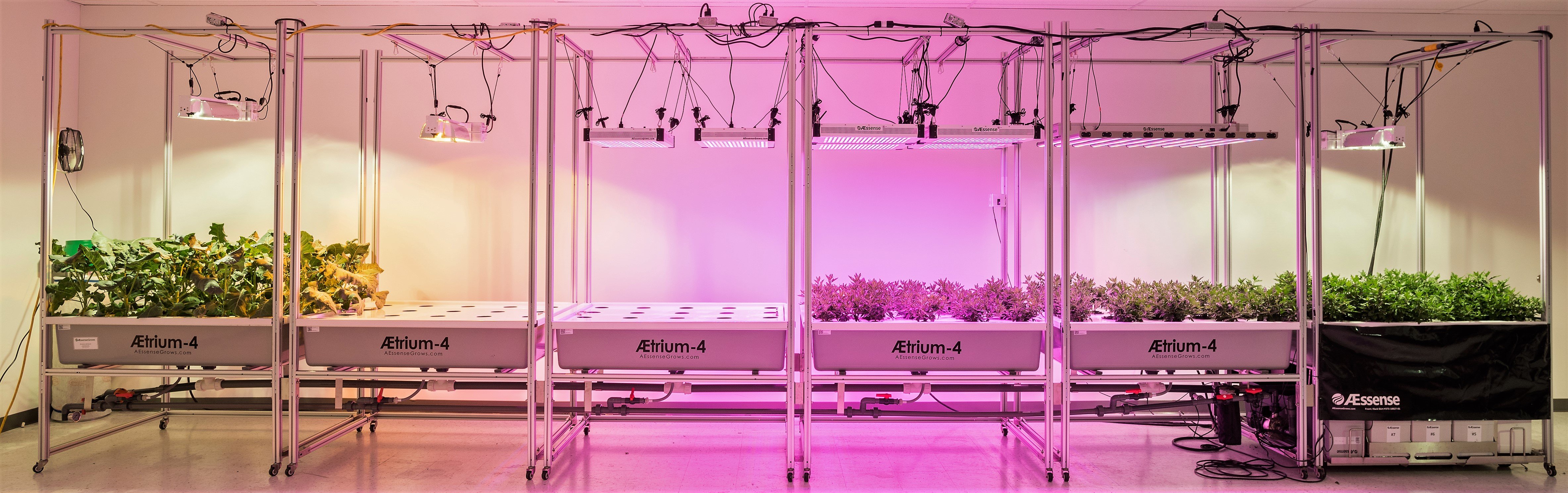 Indoor Lighting Led Aessensegrows Indoor Lighting Led Aessensegrows