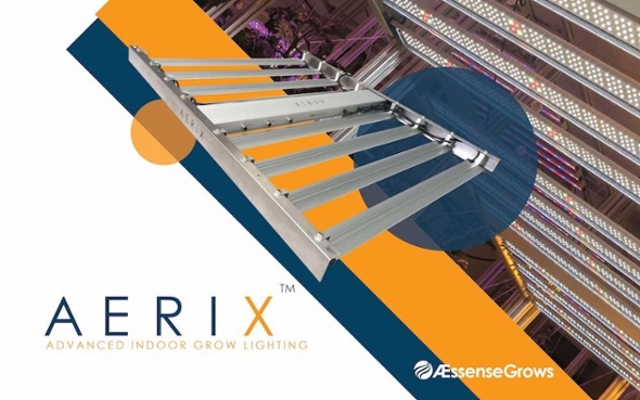 Intense 1600 umol - AErix LED Lights