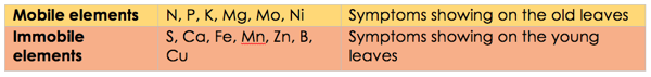 Mobile vs Immobile elements