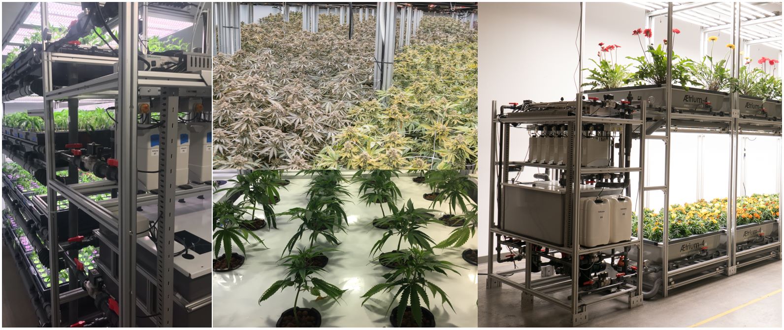 AEssenseGrows 1, 2, 4 Layer Aeroponic Systems