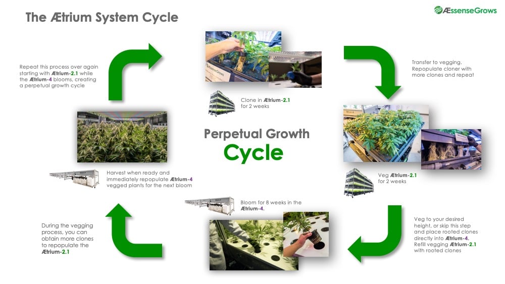 AEtrium System Grow Cycle