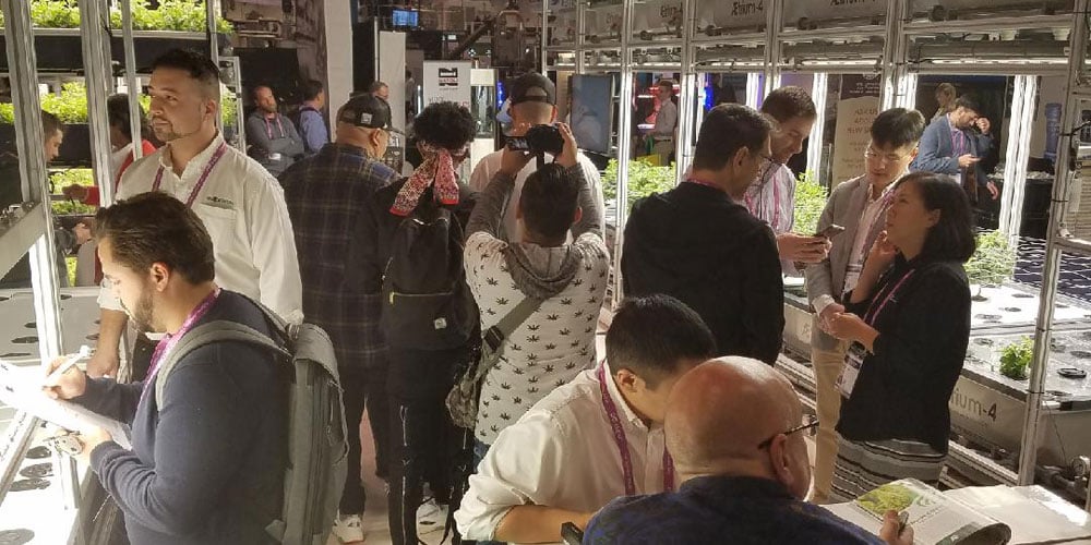 Everybody On Board - No Room To Spare