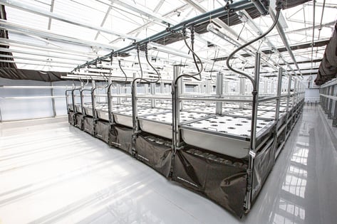 FarmaGrower Aeroponic Greenhouse