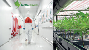 Farmagrowers Precision Medical Cannabis sm