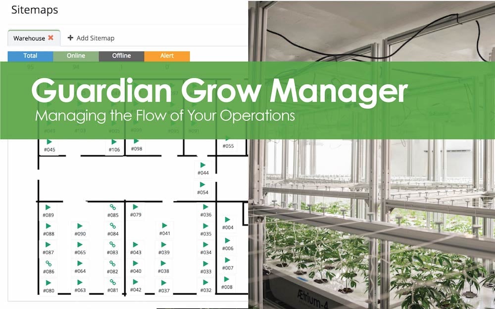 Guardian Grow Manager - Managing Business Operations.jpg