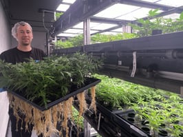 Healthy Clone Tray