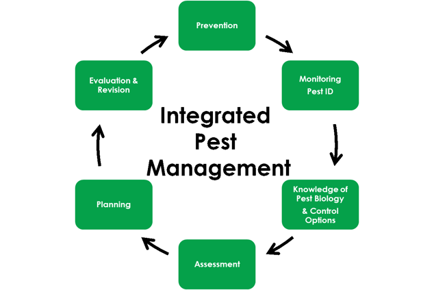 Integration Pest Management (IPM) Maintenance Cycle