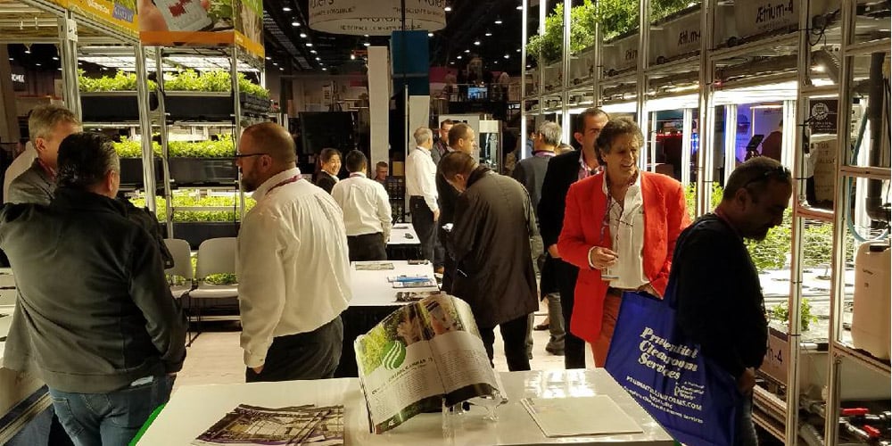 Everything About Aeroponics