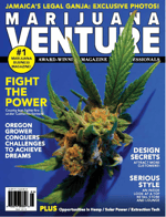 MVenture