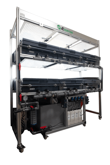 Nursery 6 Transparent 2