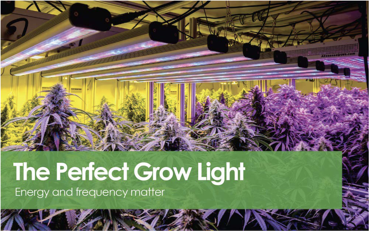 The Perfect Indoor Grow Light