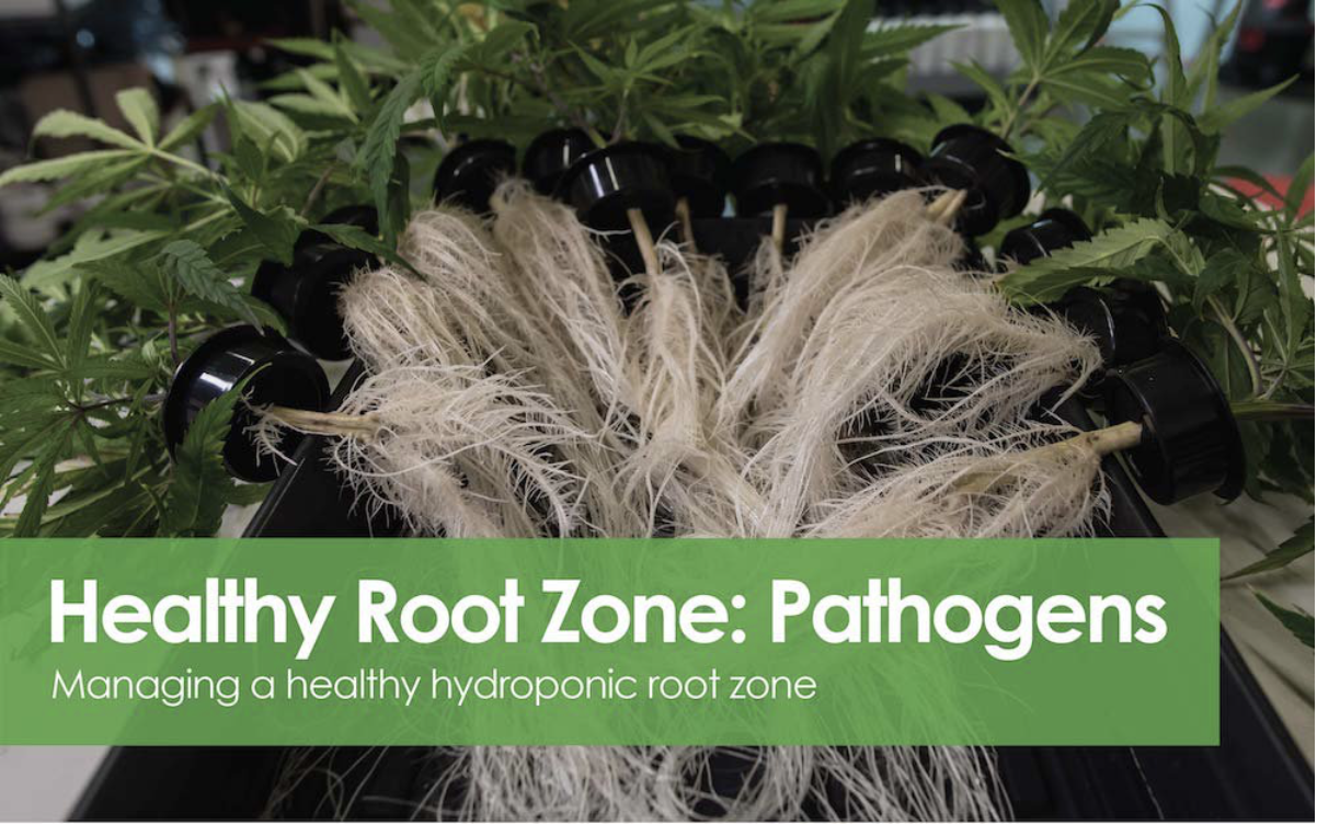 Healthy Root Zone - Pathogens