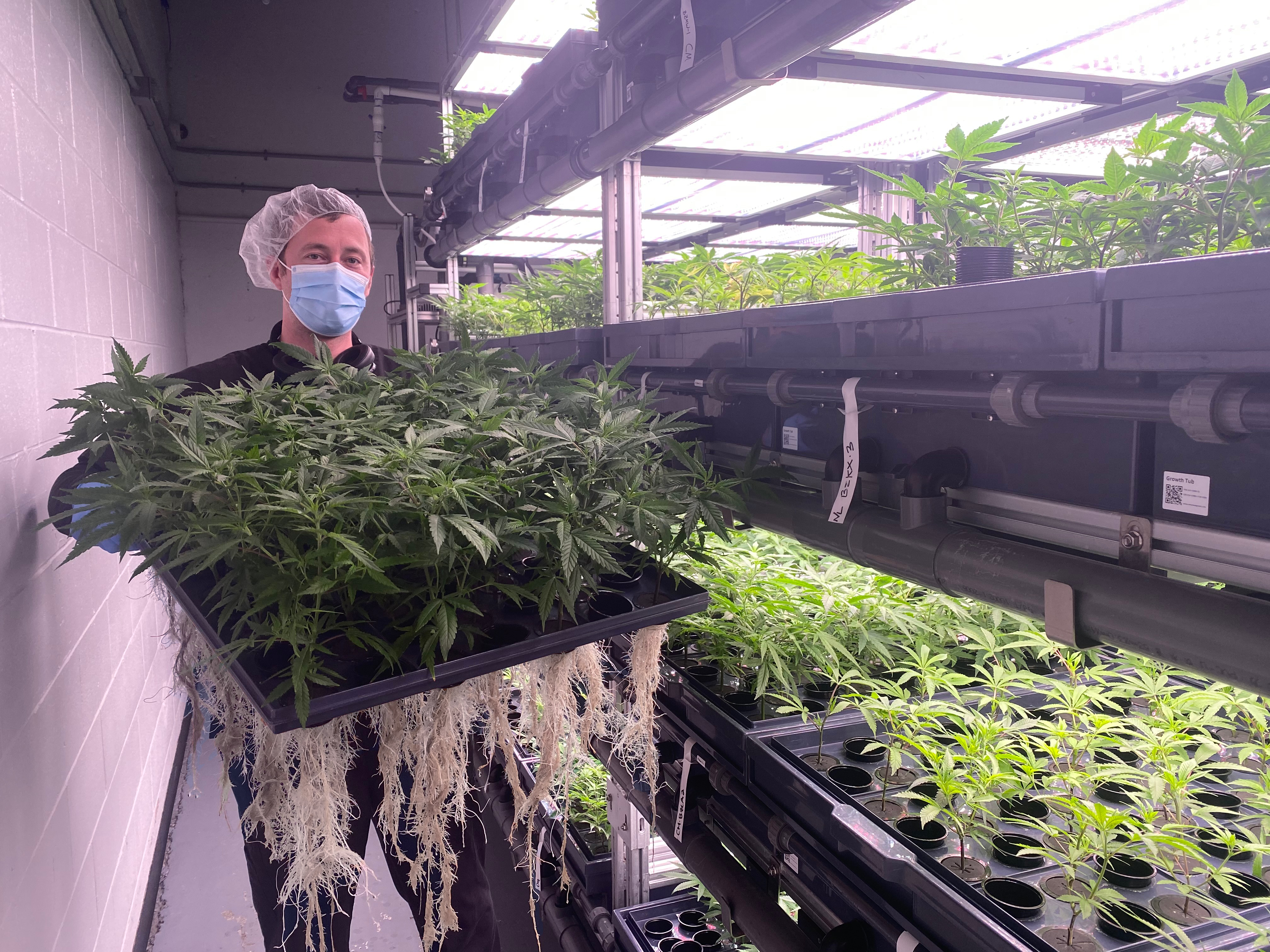 Shaun with Aero Veg Plants & Clones