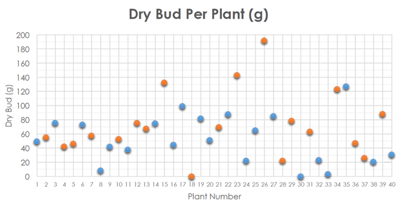 Net Pot vs Foam Collar Result.png
