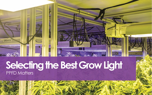 Selecting The Best Grow Light