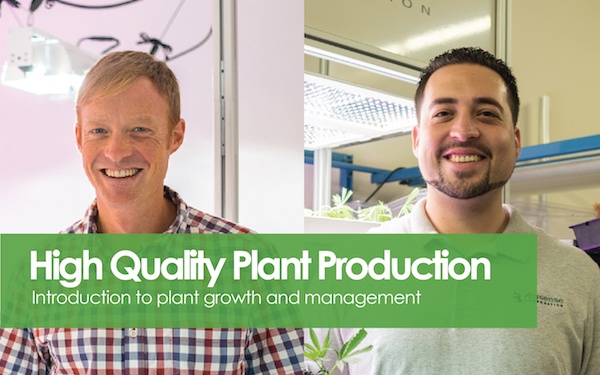 High Quality Plant Production
