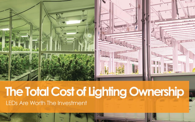 The Total Cost Of Lighting Ownership