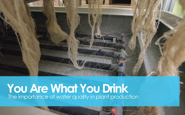 Water Quality - You Are What You Drink