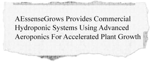 headline3 copy